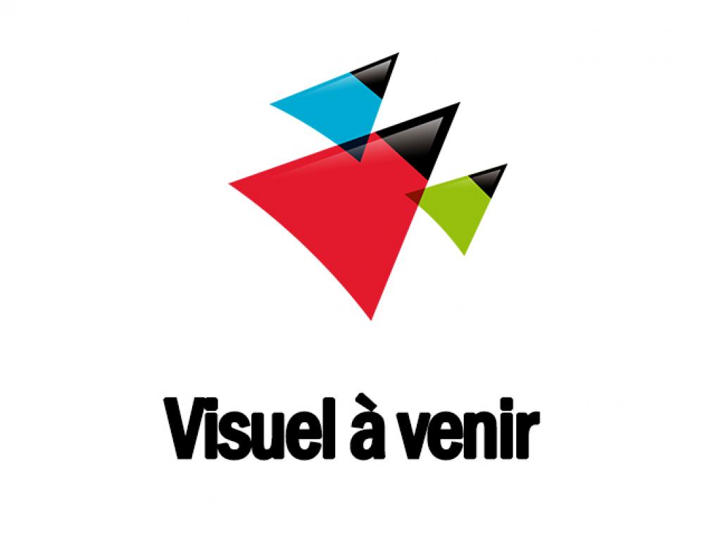 PACK DE 5 CARTOUCHE HYPERBUROS JET D'ENCRE EPSON T202XL